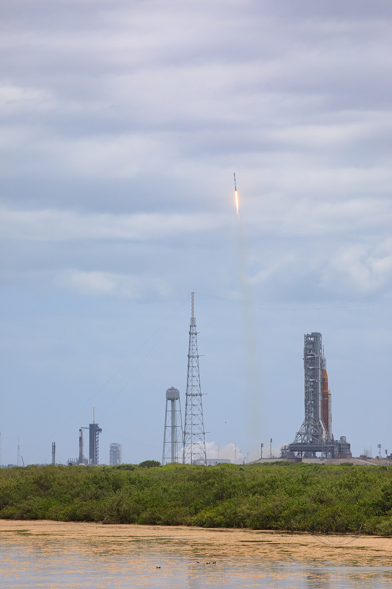 SpaceX намерена стать полноценным мобильным оператором в США
